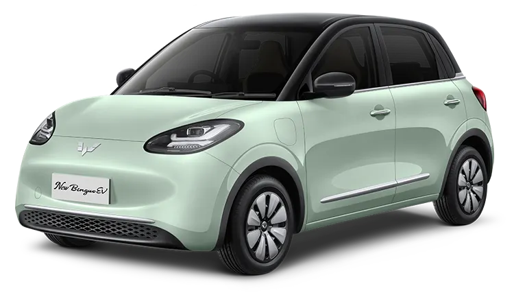 Wuling Bingo